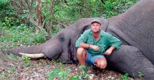 Un cazador muere aplastado por un elefante. ¿Se lo buscó?