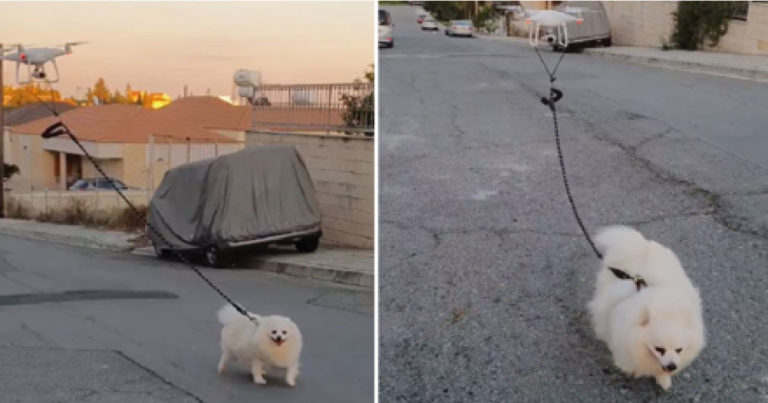 Debido a la cuarentena un hombre pasea a su perrito con un dron por las calles