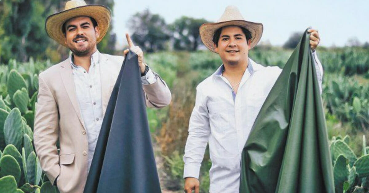 Jóvenes mexicanos inventaron un cuero hecho del cactus nopal – para evitar el cuero animal
