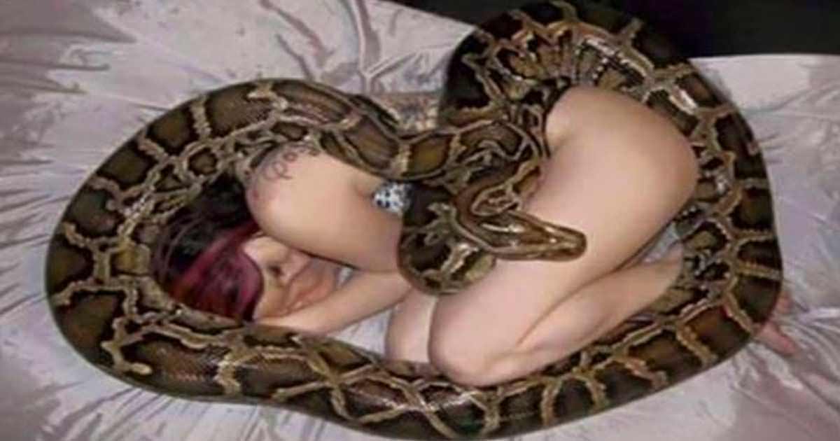 Historia divertida: La mujer que dormía con serpiente pitón se iba a arrepentir muchísimo