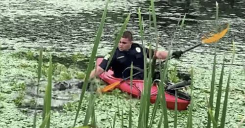 Oficiales luchan por ayudar a una desesperada perrita que se hundía en un estanque fangoso