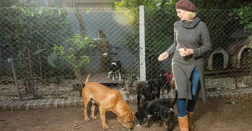 Deja las pasarelas y la fama para dedicarse a cuidar a decenas de perros rescatados en su casa