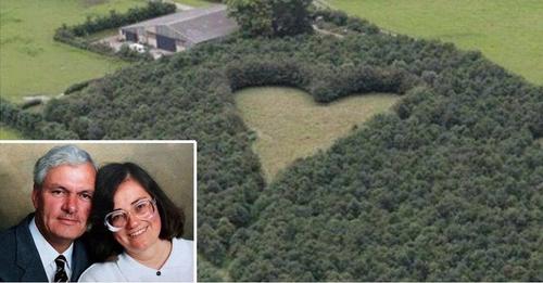 Planta 6 mil árboles en forma de corazón para rendirle homenaje a su esposa fallecida