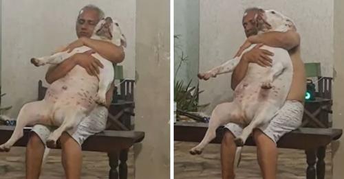 Graba a su padre con el pitbull adoptado en su regazo después de que dijo odiar a los perros