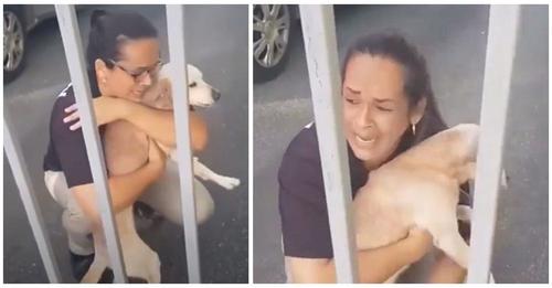 Ay, Dios mío– Graban a una mujer llorando desconsoladamente al abrazar a su perrito