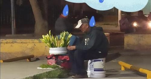 Piden ayuda a las redes para que le compren flores al triste abuelito que no vende nada
