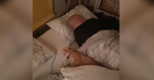 Un gato se escabulle en la casa de sus vecinos todas las noches para pasar a dormir con su amigo