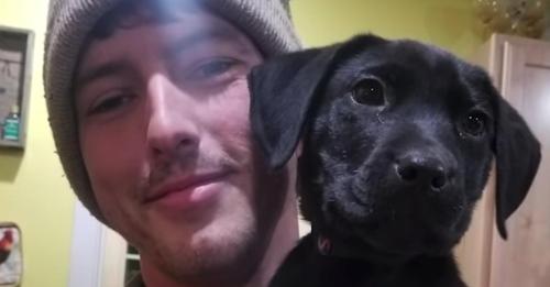 Hombre sordo adoptó un perro de rescate sordo y lo entrenó con lenguaje de señas