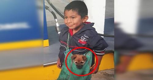 Captan a un humilde niño llevando a su perro del modo más adorable a pesar de las adversidades