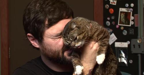 Cuando el veterinario vio por primera vez a Lil' Bub dijo que era 'la gata más rara que ha visto'  por su apariencia