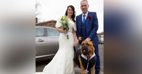 Adelantan su boda para que su perro enfermo pudiera acompañarlos