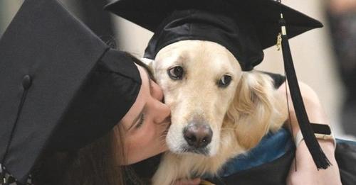Un noble perro ayuda a su dueña discapacitada y los 2 se gradúan con honores