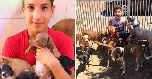Joven de 17 años abre un refugio de animales único y ya ha rescatado a 22 perritos y 4 gatitos