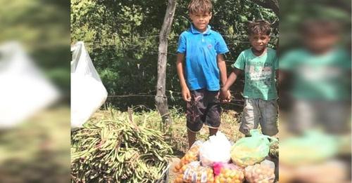 Los hermanos de 7 y 9 años que venden verduras en la calle asisten a la escuela por primera vez