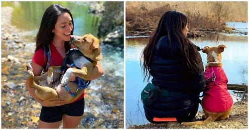 Mujer encuentra un perrito herido abandonado en un sendero, lo adopta y ahora son inseparables