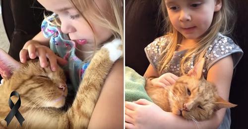 Una niña canta por última vez a su amado gatito minutos antes de que cruce el arcoíris