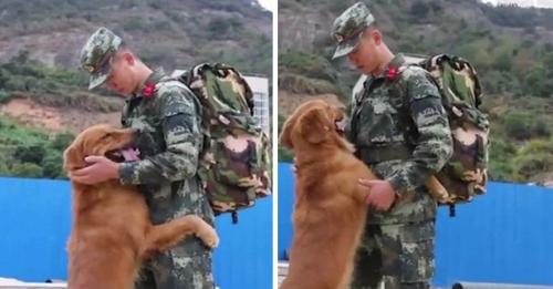 Perro militar se niega a despedirse del adiestrador que lo acompañó durante 2 años