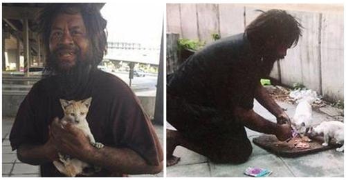 Hombre sin hogar se niega a comer para poder alimentar a los gatitos abandonados
