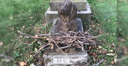 La gente deja palos en la tumba de un perrito de 100 años