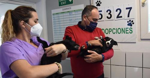 El Ayuntamiento de Fuengirola fomenta la adopción de mascotas en el Parque Zoosanitario Municipal