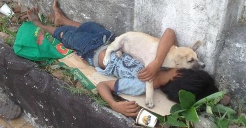 Niño adopta un perrito para poder abrazarlo y no sentirse solo mientras vive en la calle