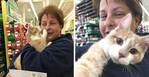 Gatito que fue arrojado desde un auto, no puede creer que tenga una nueva mamá a quien abrazar