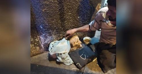 Piden ayuda para un hombre sin hogar y una perrita que fue lanzada de un auto