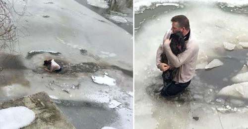 Sostiene en sus brazos al perrito que intentaba sobrevivir en un lago congelado