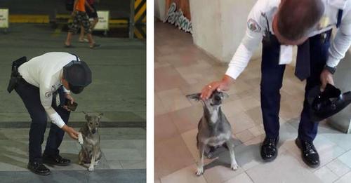 Descubren a un guardia rompiendo todas las reglas de su trabajo por culpa de perros sin hogar