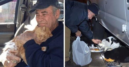 Hombre recolecta chatarra durante los últimos 27 años para alimentar a los gatitos callejeros
