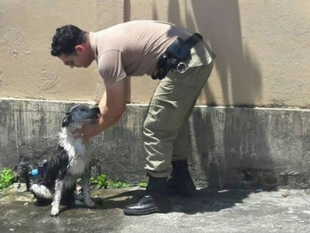Captan al sargento que se acercó a un perro que colapsó por el intenso calor