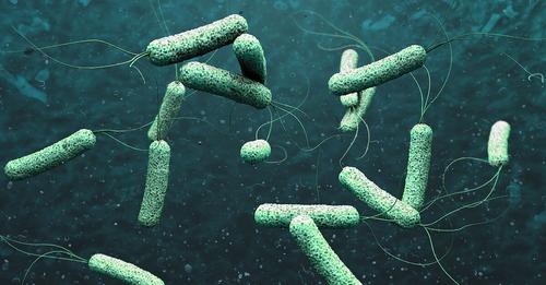 Cólera en España: síntomas, prevención y tratamiento de una enfermedad que puede ser mortal
