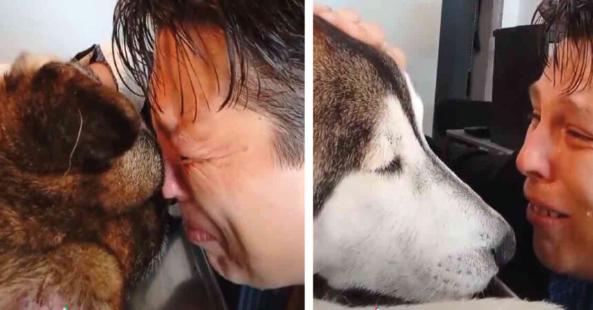 Después de 12 años juntos, joven se despide de su perrito: «sé que también me amaste»
