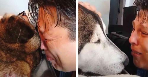 Después de 12 años juntos, joven se despide de su perrito: «sé que también me amaste»