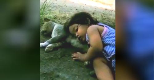Una madre regresa a casa y encuentra a su hija dormidita sobre el gatito que yacía inmóvil