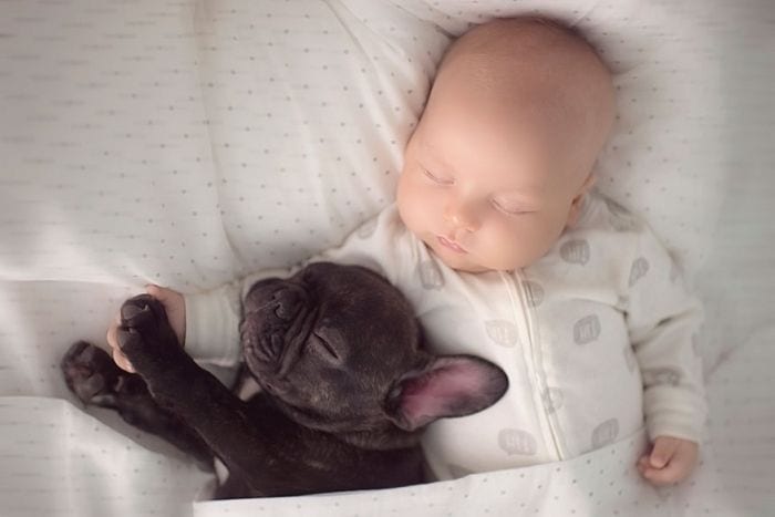 Nacidos el mismo día, este bebé y su bulldog creen que son hermanos y lo hacen todo juntos