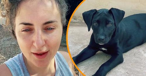 Mujer compra perro de la calle para que no lo maltraten, le aplauden en redes