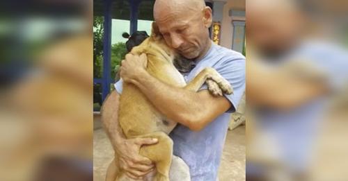 Una perrita sólo quiere estar abrazada a su salvador tras ser rescatada del comercio de carne